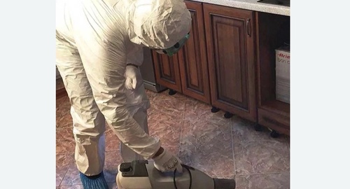 Уничтожение тараканов в квартире. Нижнекамск